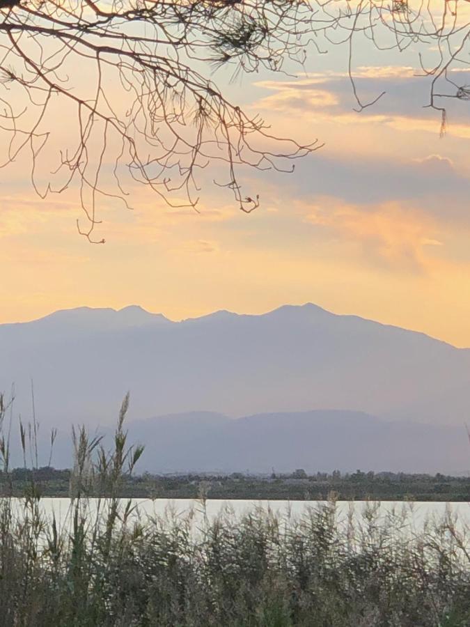 Mobilhome Canet En Roussillon - Canet Plage Loc Zewnętrze zdjęcie
